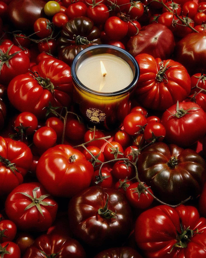 Flamingo Estate – Roma Heirloom Tomato Candle
