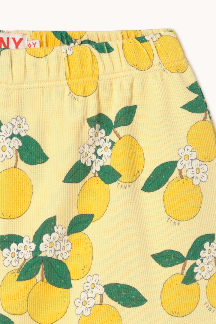 Tiny Cottons – Oranges Rib Shorts