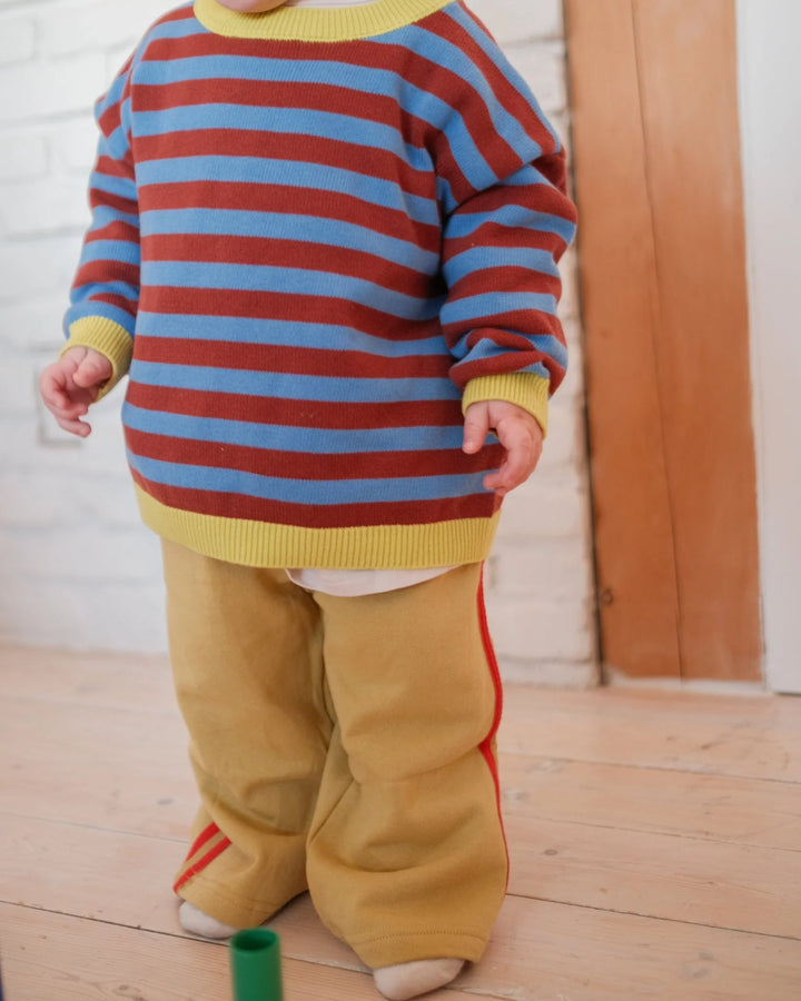 Pigeon Said Please –  Stripe Knit Pullover in Blueberry