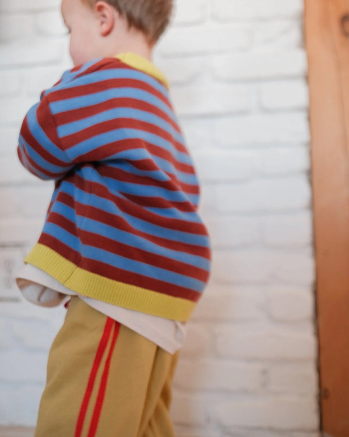 Pigeon Said Please –  Stripe Knit Pullover in Blueberry
