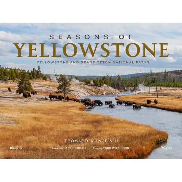 The Seasons of Yellowstone